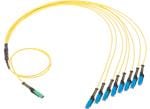 Molex ชุดสายเคเบิล MMC