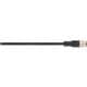 LAPP 22260780