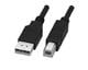 Adam Tech CA-USB-AM-BM-6FT