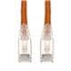 Amphenol ProLabs C-10FCAT6AS-OE