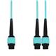 Amphenol ProLabs C-16FMPO-2MPO9M5OM4
