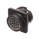 Amphenol Audio MP-4102-19P-C