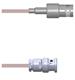 Amphenol Custom Cable Q-0300J0005006i