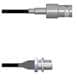 Amphenol Custom Cable Q-0301U0003006i