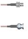 Amphenol Custom Cable Q-0600O000S006i