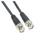 Amphenol Cables on Demand CO-058BNCX200-100