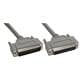 Amphenol Cables on Demand CS-DSDMDB50MF-050