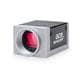 Basler 107419