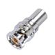 Trompeter / Cinch Connectivity Solutions PL75C-214