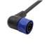 Bulgin PXP4002/001/06P