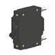 Carling Technologies CA1-B0-34-650-331-C