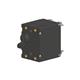 Carling Technologies BB2-B0-24-615-321-D