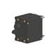 Carling Technologies BB2-B0-24-630-221-D