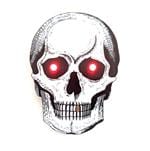 Wokwi CS-PIRATE-SKULL ภาพที่ขยาย