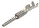 Aptiv (formerly Delphi) 15520256