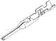 Aptiv (formerly Delphi) 15422501