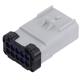 Aptiv (formerly Delphi) 15491340