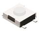 Diptronics DTSF-61S-V-B