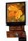 Display Visions EA TFT015-22AITC