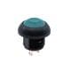 E-Switch RP8100B2M1CEBLKGRNNIL
