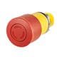 EAO 46-2C36.1H20.000