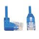 Tripp Lite N204-S20-BL-RA