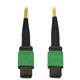 Tripp Lite N390B-02M-12-AP