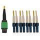 Tripp Lite N390X-03M-8L-AP