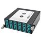 Tripp Lite N484-1M24-LC12