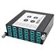 Tripp Lite N484-2M12-LC12