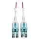Tripp Lite N821-01M-MG-T