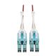 Tripp Lite N821-07M-MG-T