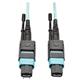 Tripp Lite N842-05M-12-MF
