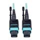 Tripp Lite N844-01M-12-P