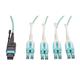 Tripp Lite N844-01M-8LC-PT