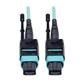 Tripp Lite N844-02M-12-P