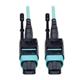 Tripp Lite N844-03M-12-P