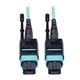 Tripp Lite N844-10M-12-P