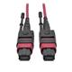 Tripp Lite N845-01M-12-MG