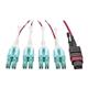 Tripp Lite N845-01M-8L-MG