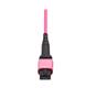 Tripp Lite N845B-03M-12MTA