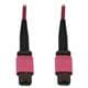 Tripp Lite N845B-02M-12-MG