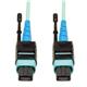 Tripp Lite N846-02M-24-P