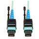 Tripp Lite N846-05M-24-P