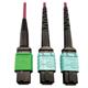 Tripp Lite N846D-01M-16DMG