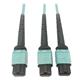 Tripp Lite N846D-01M-24BAQ