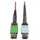 Tripp Lite N846D-03M-16CMG