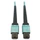 Tripp Lite N846D-03M-24AAQ