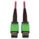 Tripp Lite N846D-05M-16AMG