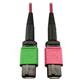 Tripp Lite N846D-05M-16BMG